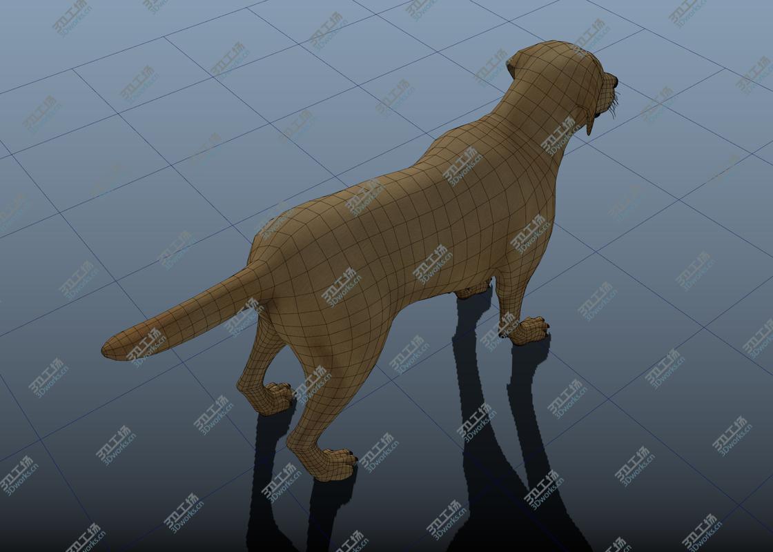 images/goods_img/202105074/3D Dog rigged and animated model/4.jpg